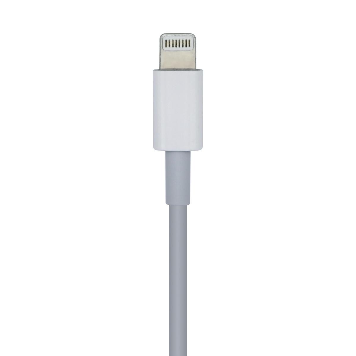 Cavo Aisens da Lightning a USB-C USB 2.0 - Lightning/M-USB-C/M - 1,0 m - Colore Bianco