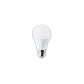 Lampadina LED E14/12W/230V 6400K - Aigostar